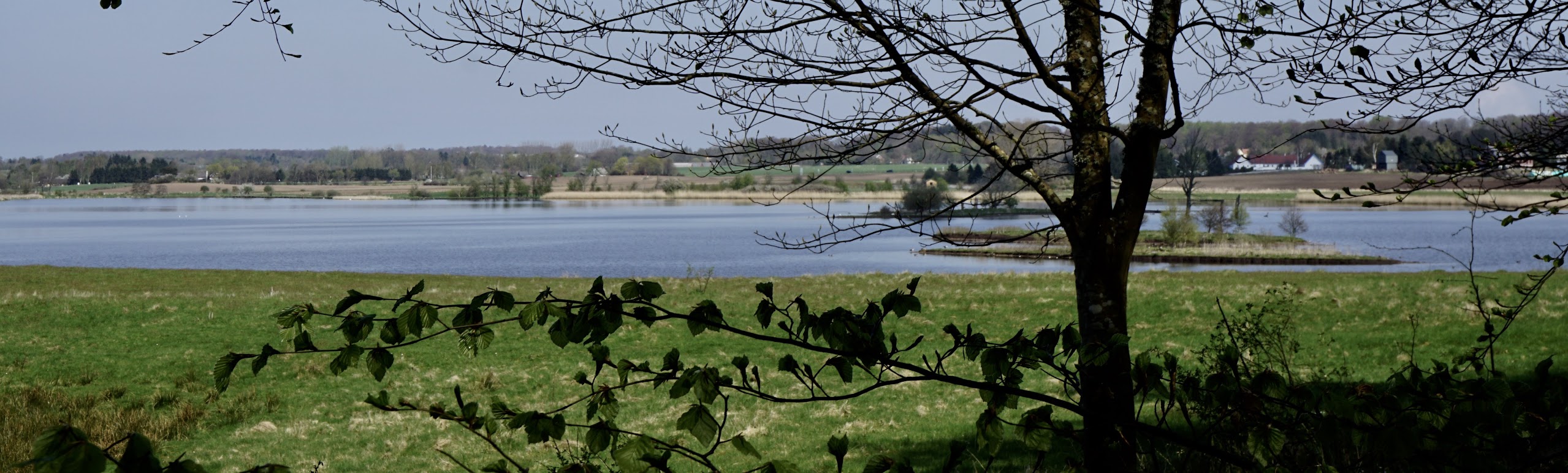 Solbjerg Engsø