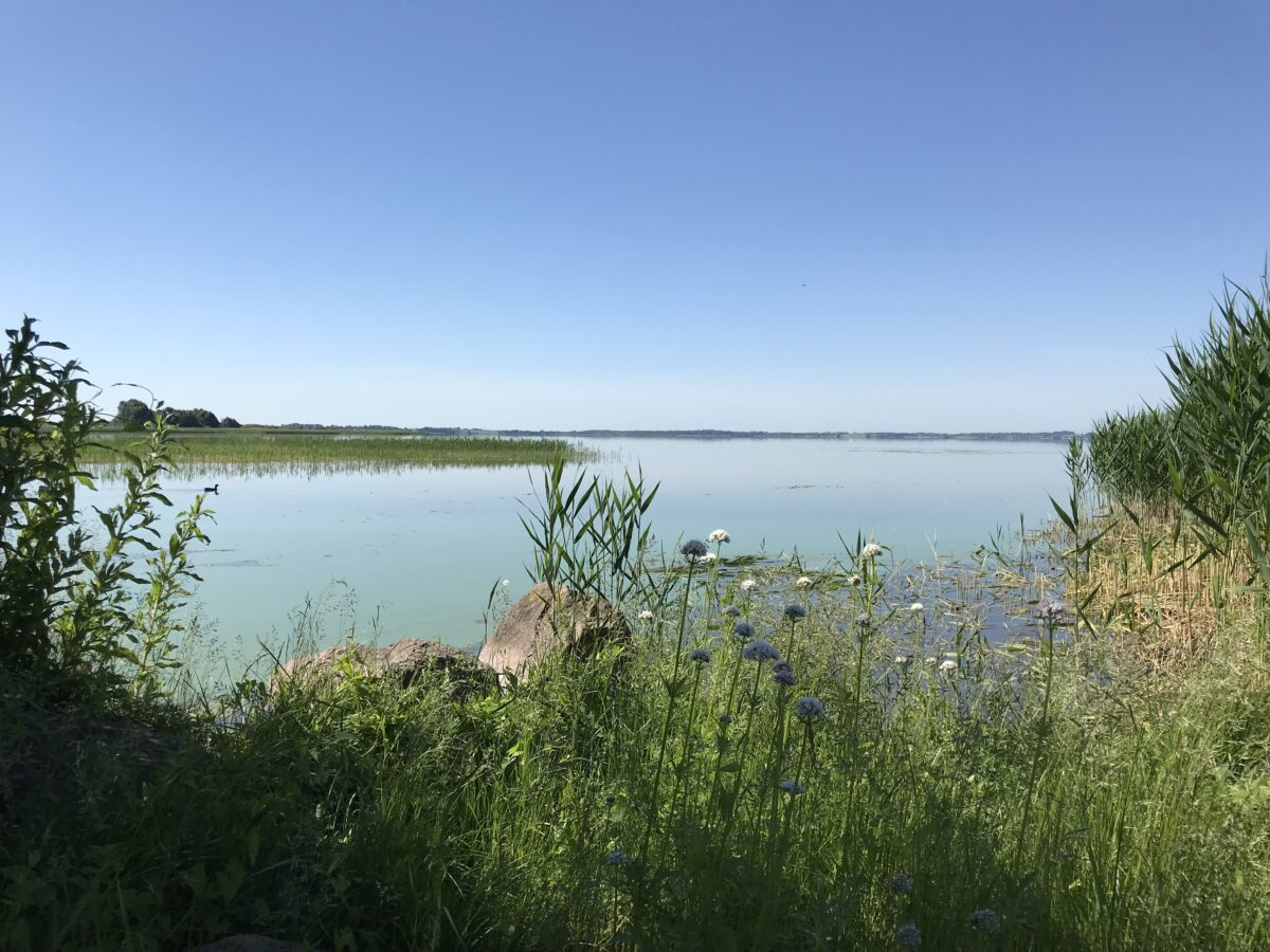 Arresø
