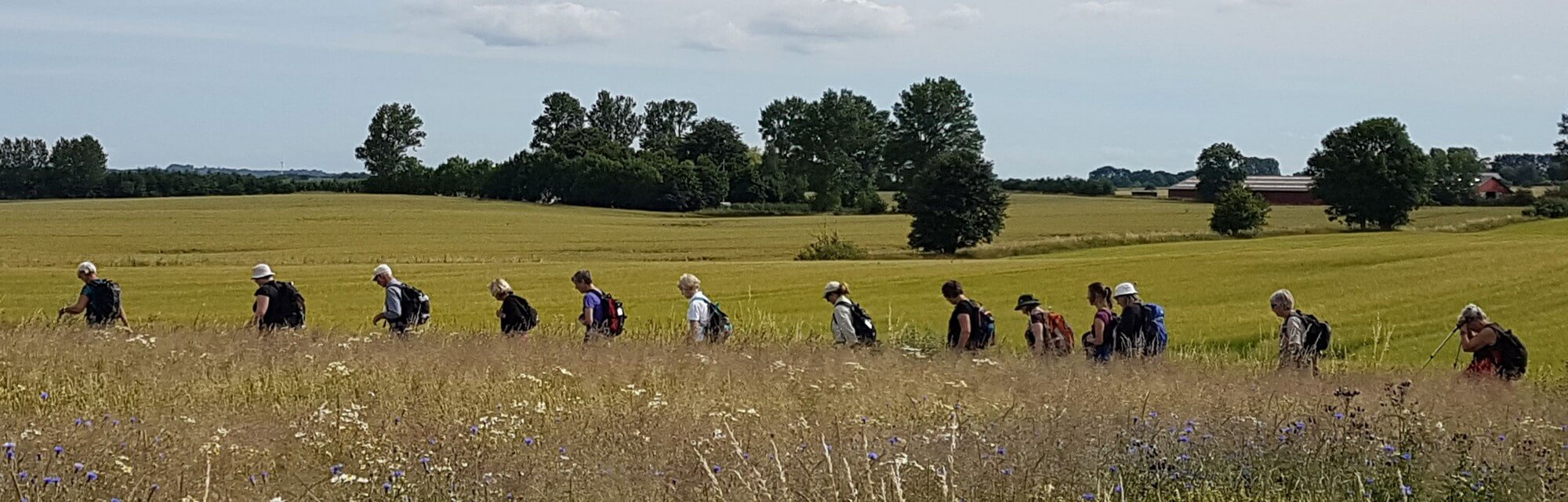Vandrere i Ellemosen ved Tibirke
