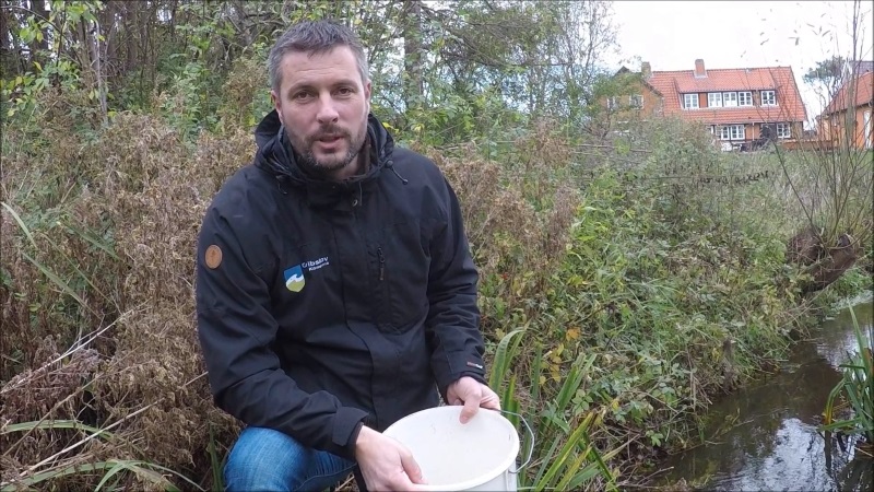 Naturforvalter i Gribskov Kommune