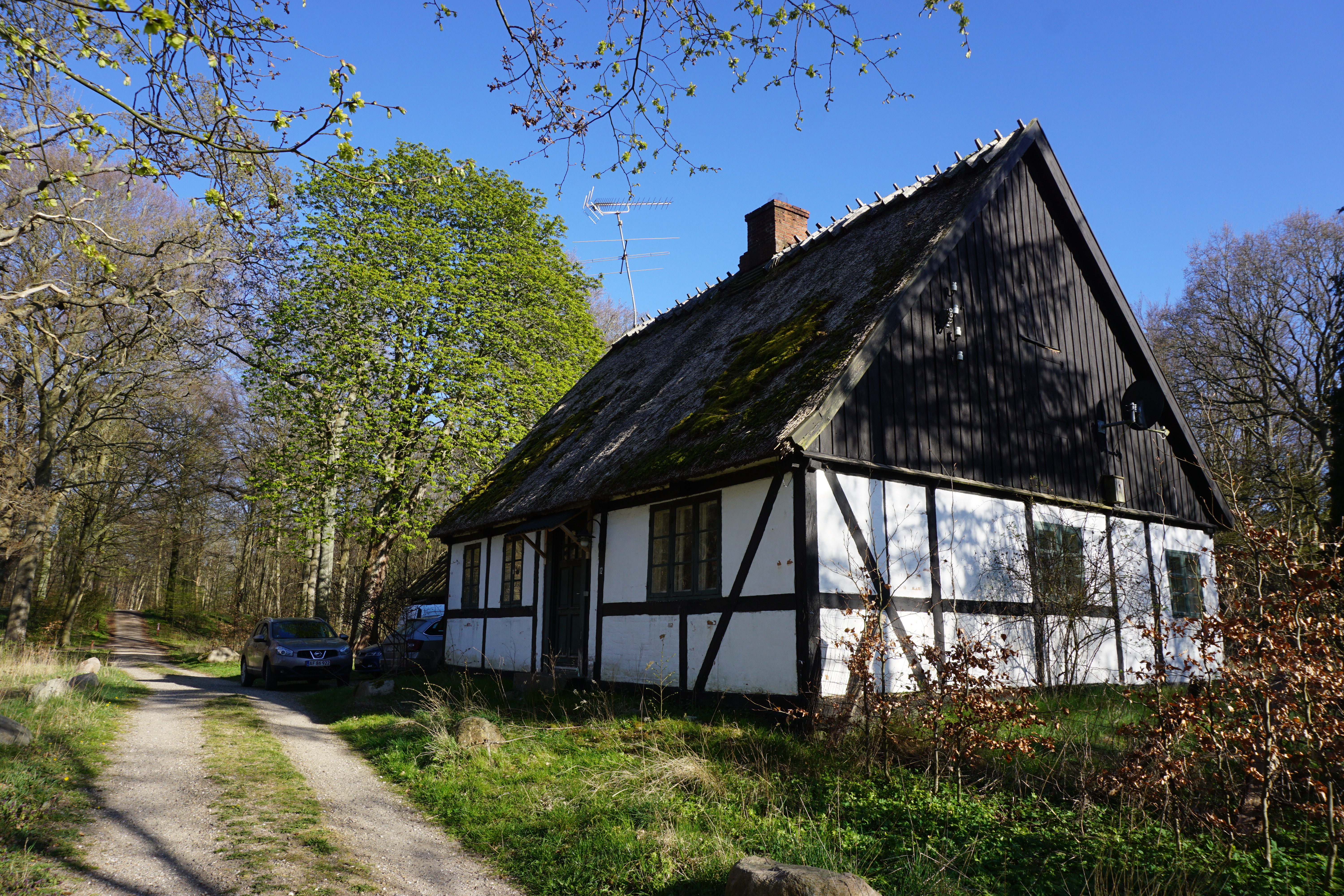 Tibberuphus