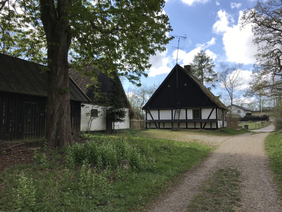 Tibberuphus